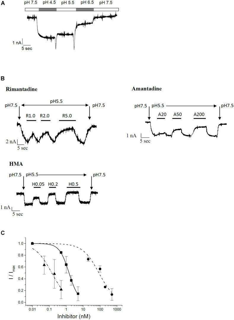 FIGURE 4