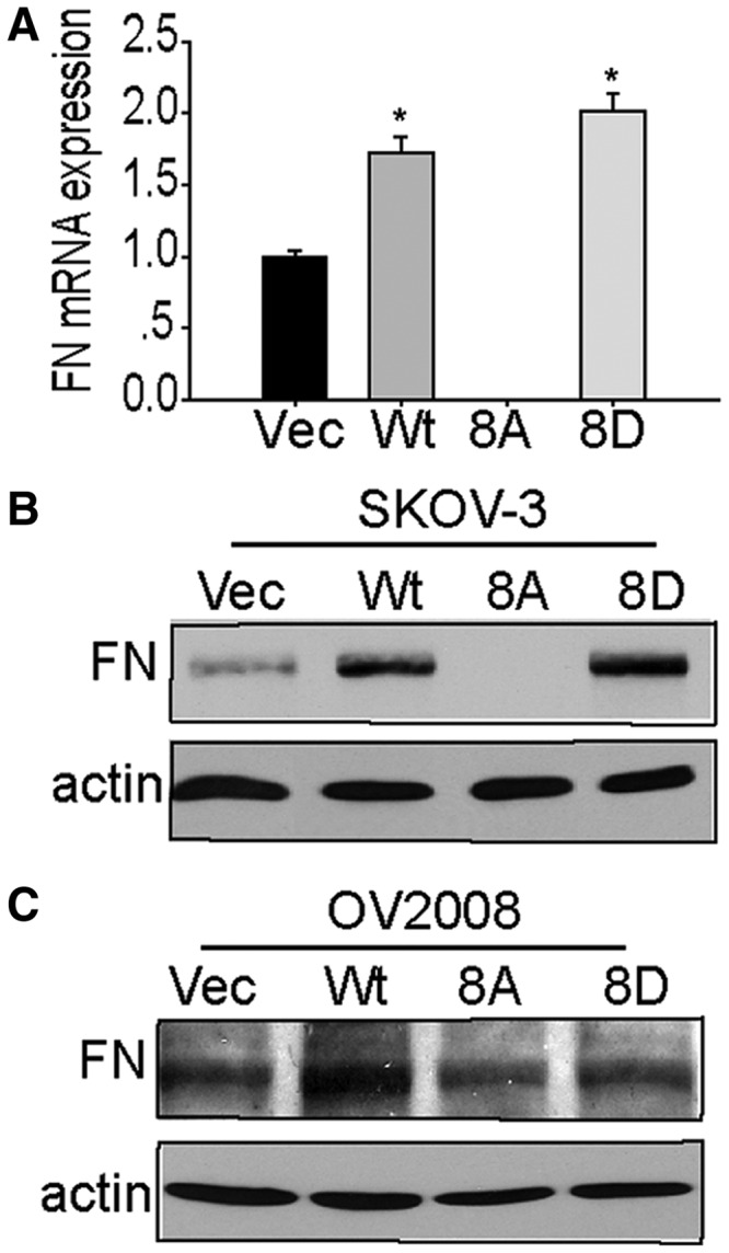 Figure 11.