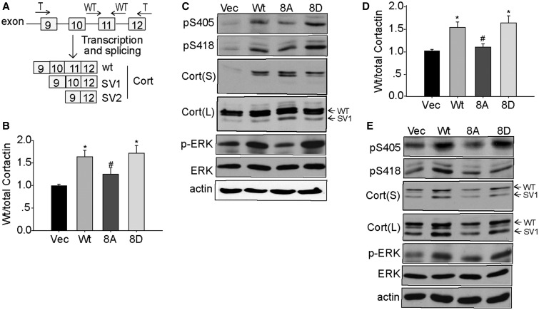 Figure 12.