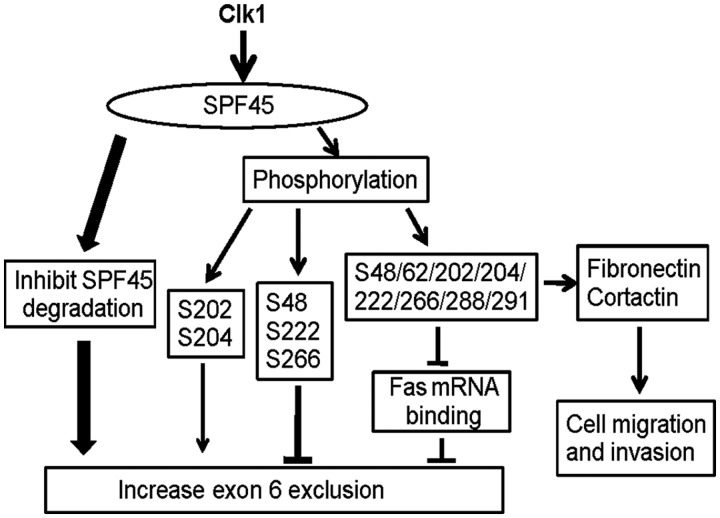 Figure 13.