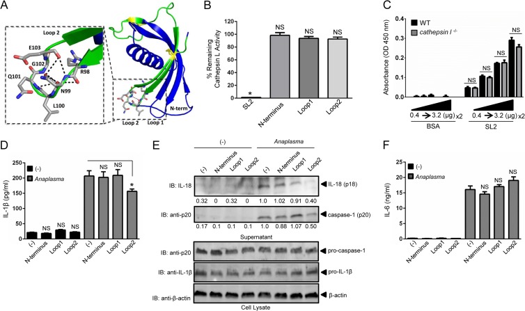 FIG 6