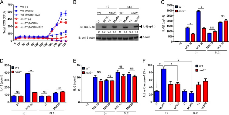 FIG 4