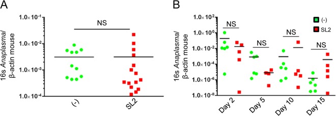 FIG 8