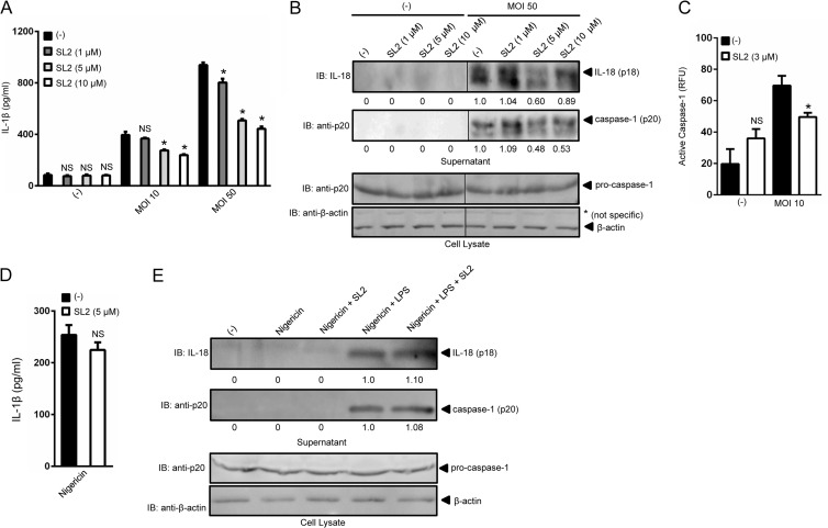 FIG 2