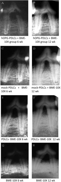 Fig. 5