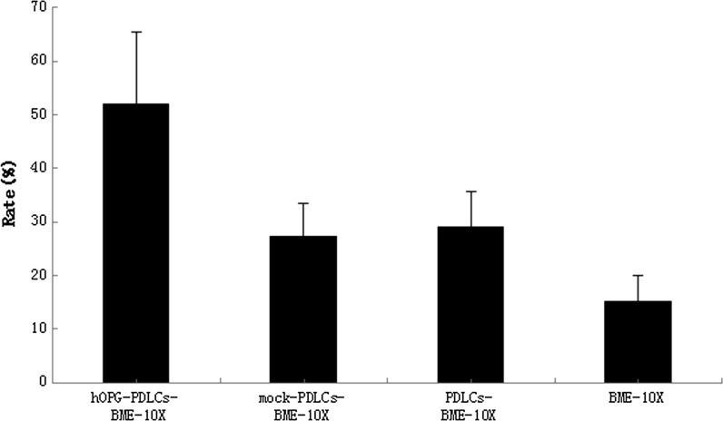 Fig. 12