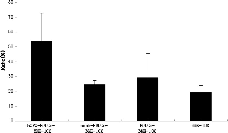 Fig. 11