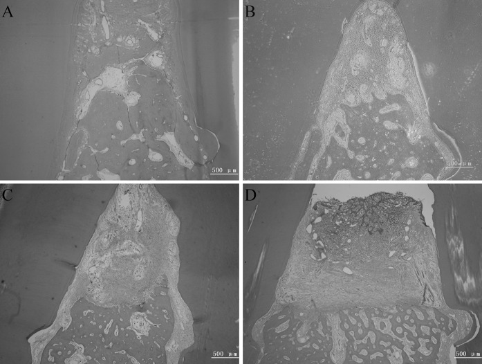 Fig. 6