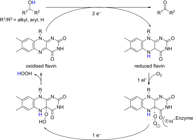 Scheme 6. 