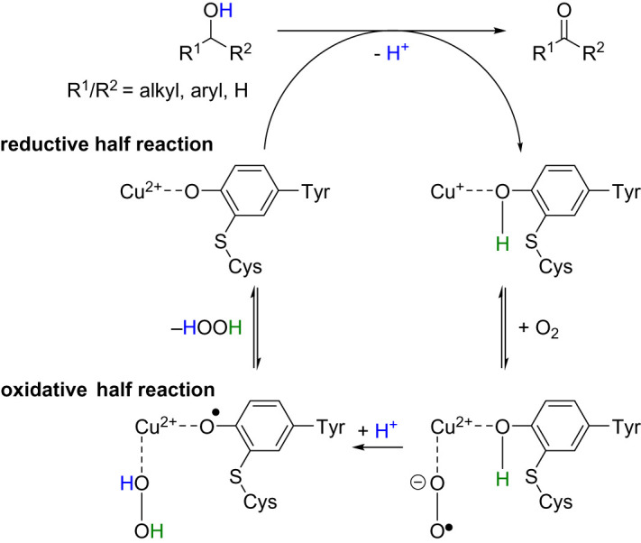 Scheme 2. 