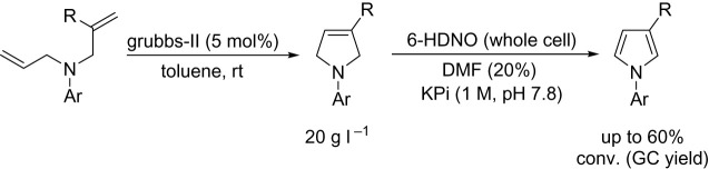 Scheme 13. 