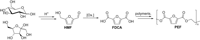 Scheme 4. 