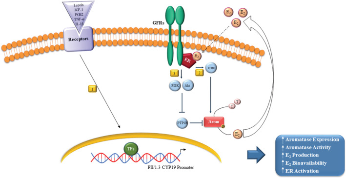 FIGURE 3