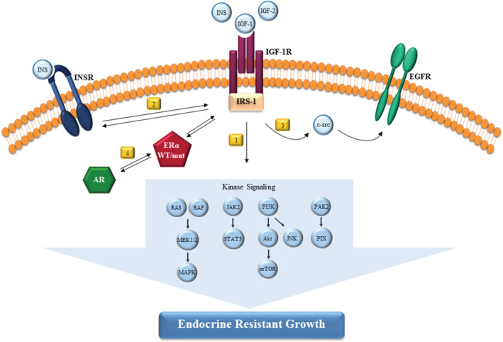 FIGURE 2