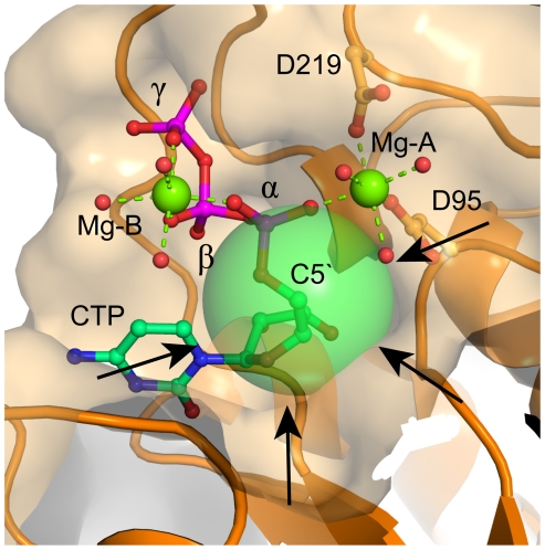 Figure 6