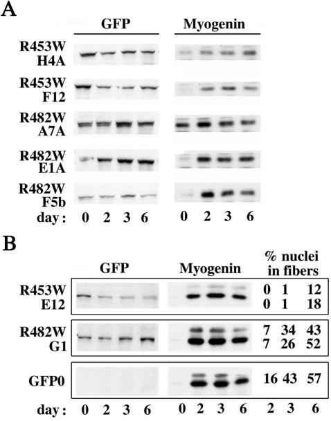 FIG. 7.