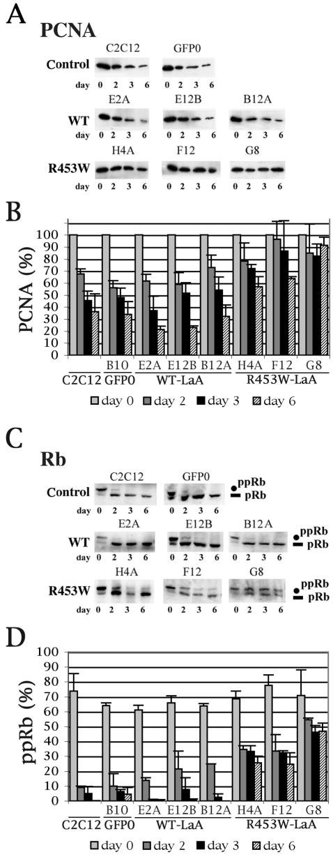 FIG. 9.