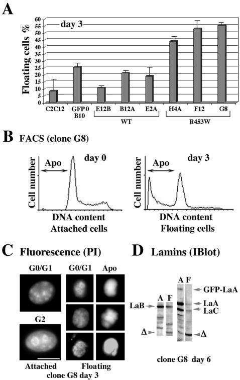 FIG. 10.