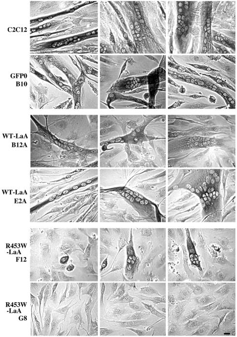 FIG. 4.