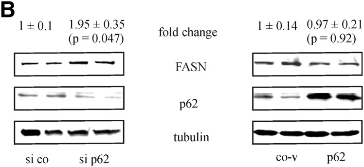 Fig. 3B