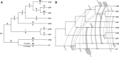<sc>Fig</sc>. 4.