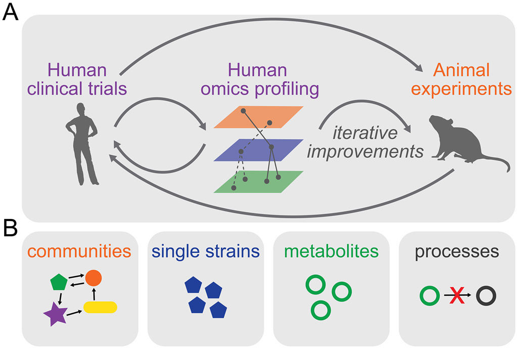 Figure 3: