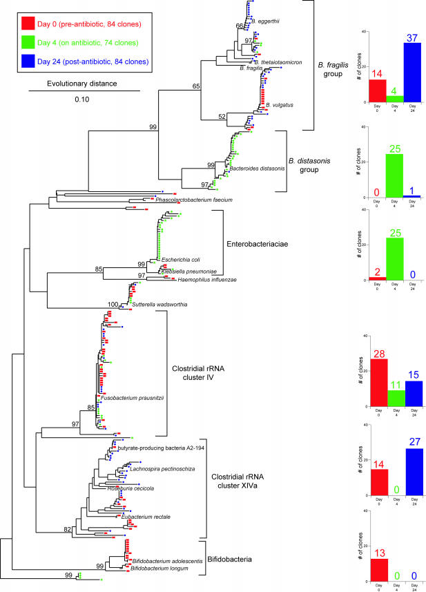 FIG.1.