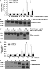 <b>Figure 2.</b>