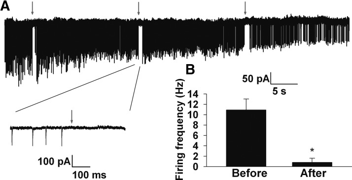 Fig. 7.