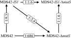 F<sc>IG</sc>. 3.