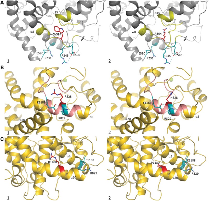 Figure 7.