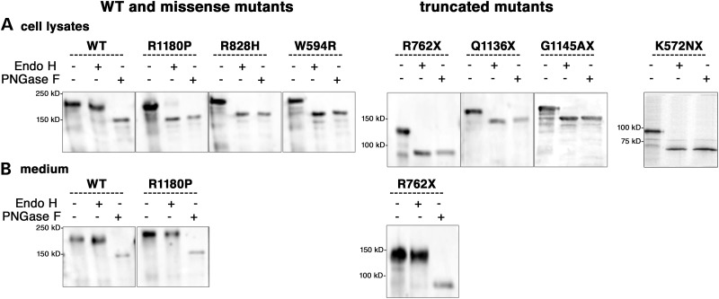 Figure 3.