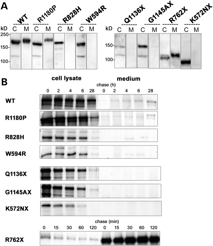 Figure 2.