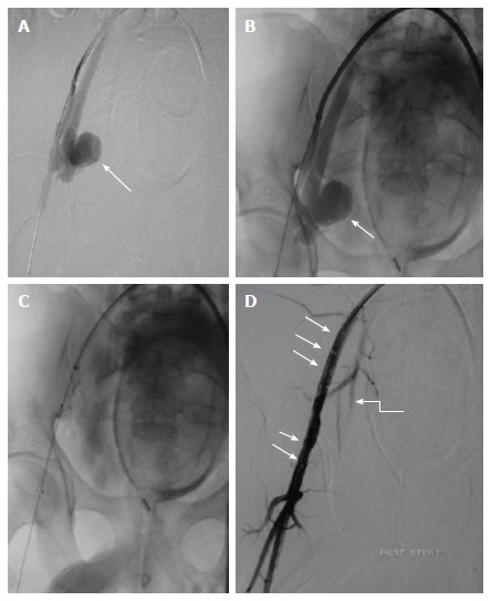 Figure 16