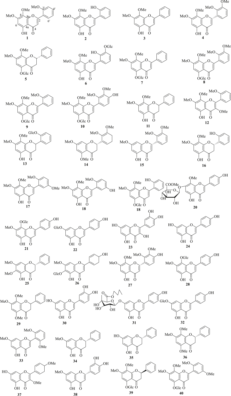 Figure 1