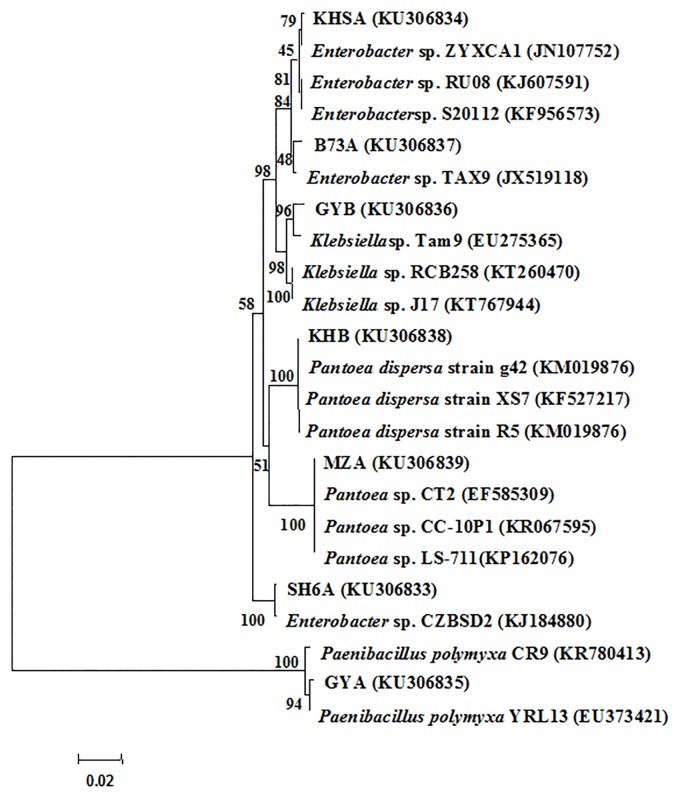 Fig 2