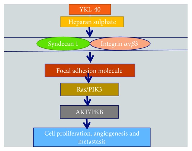 Figure 13