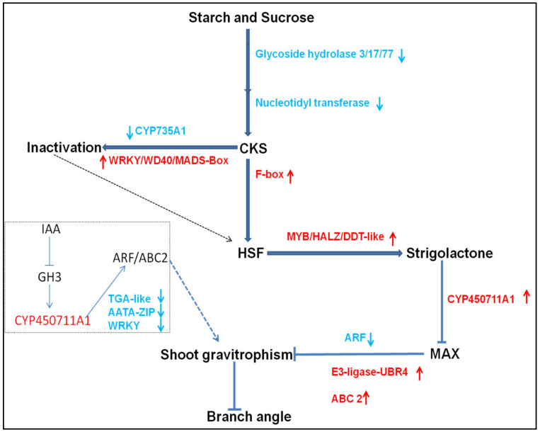 Figure 9