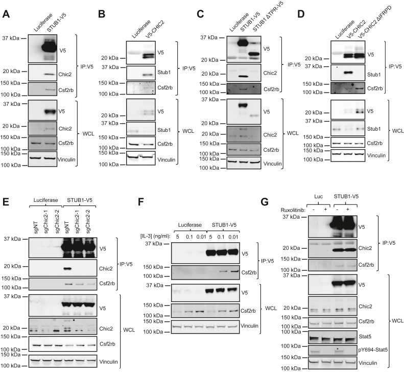 Figure 4