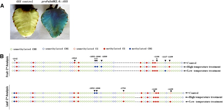 Figure 10.