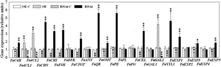 Figure 5.