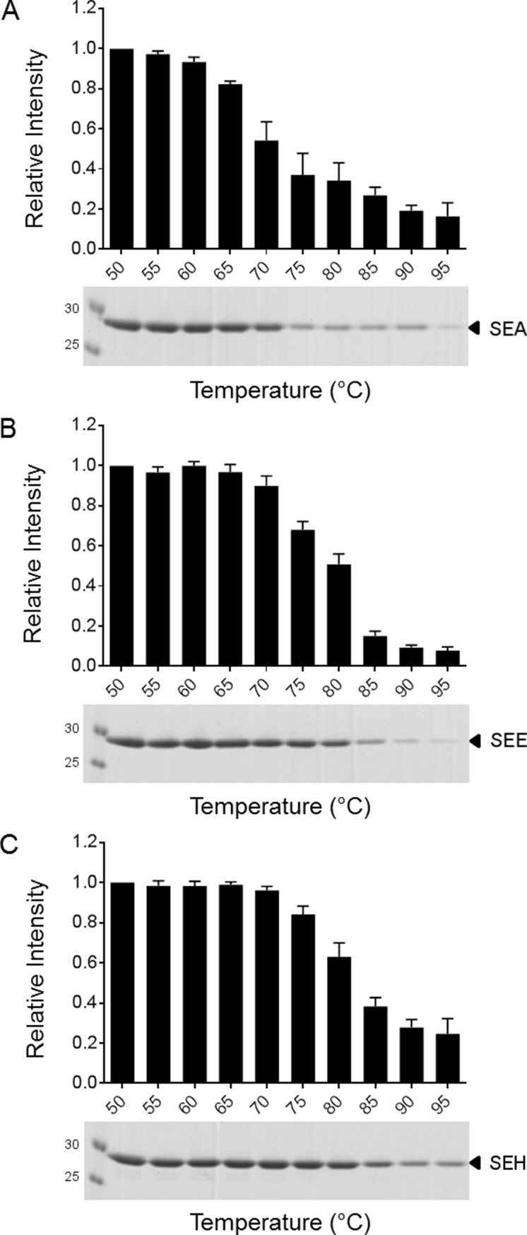 Fig 5