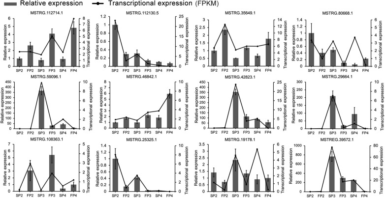 FIGURE 4