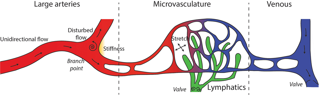 Figure 1: