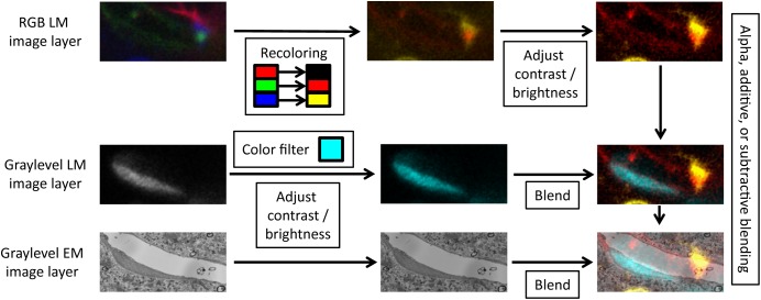 FIGURE 3