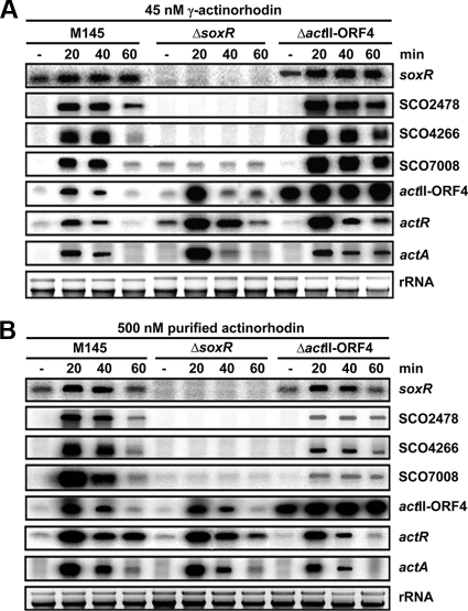 FIG. 5.