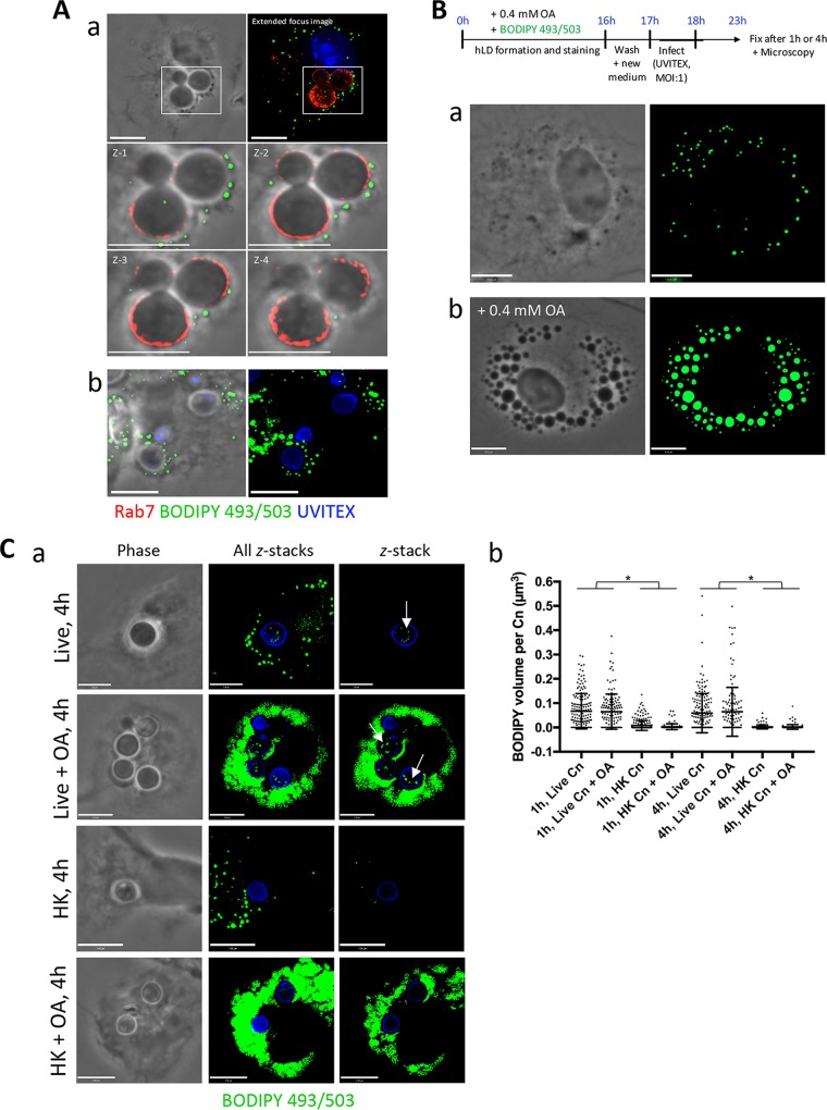 FIG 4