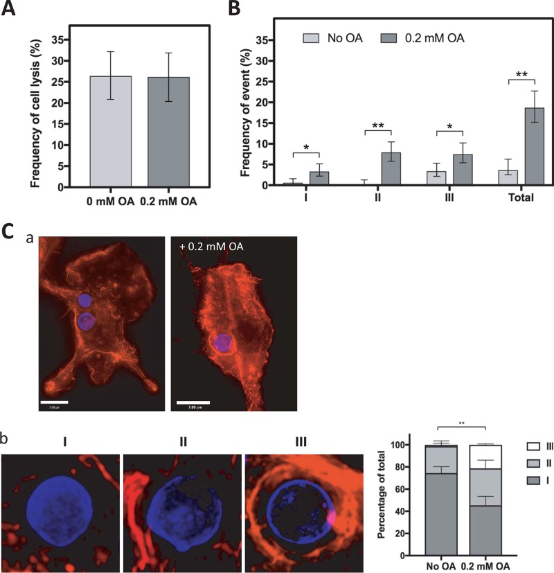 FIG 6