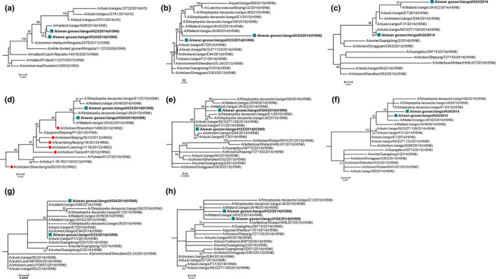 FIGURE 1