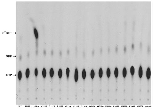 FIG. 7.